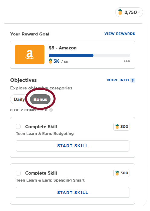 Online Financial Literacy